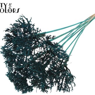 QC Dry Tree on stick | Colour: Turquoise | Bouquet Stick | Stick length ± 50 centimetres | 10 sticks per bunch