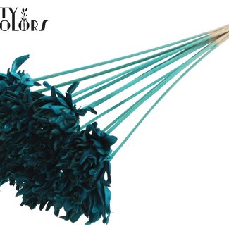 QC Shola Dennenhouten Bloem op stok | Kleur: Turquoise | Shola Slice Pine Bijsteker | Diameter bloem 6 centimeter | Lengte ± 50 centimeter | 10 bijstekers per bos