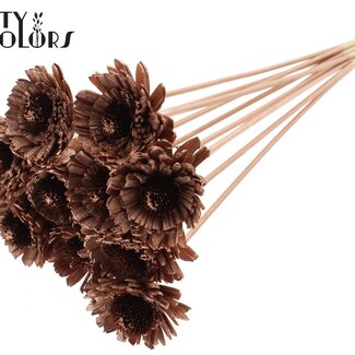 QC Shola Houten Madelief Zonnebloem op stok | Kleur: Koperkleurig | Shola Daisy Sunflower Bijsteker | Diameter bloem 6 centimeter | Lengte bijsteker ± 50 centimeter | 10 bijstekers per bos