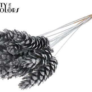 QC Strobus Dennenappel op stok | Kleur: Zilverkleurig | Dennenappel Bijsteker | Diameter 10 - 15 centimeter | Lengte ± 50 centimeter | 10 bijstekers per bos