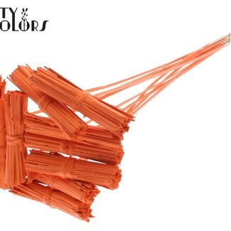 QC Kore Boeketje op stok | Kleur: Oranje | Boeket Bijsteker | Lengte bijsteker ± 50 centimeter | 10 bijstekers per bos