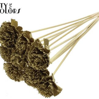 QC Shola Houten Karnish Blume auf Stiel | Farbe: Goldfarben | Shola Karnish Blume Steckstab | Durchmesser Blume 6 Zentimeter | Länge Steckstab ± 50 Zentimeter | 10 Steckstäbe pro Bund