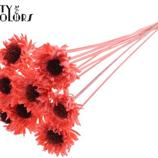 QC Shola Houten Madelief Tournesol sur tige | Couleur : Corail | Shola Daisy Tournesol Piquet décoratif | Diamètre de la fleur 6 centimètres | Longueur du piquet décoratif ± 50 centimètres | 10 piquets décoratifs par bouquet