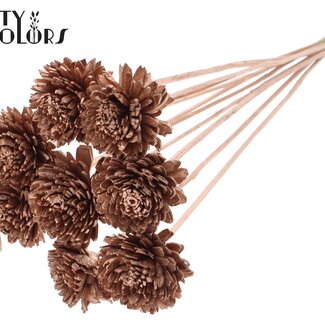 QC Shola Houten Zinnia sur tige | Couleur : Cuivré | Shola Zinia Pique | Diamètre de la fleur 6 centimètres | Longueur de la pique ± 50 centimètres | 10 piques par bouquet