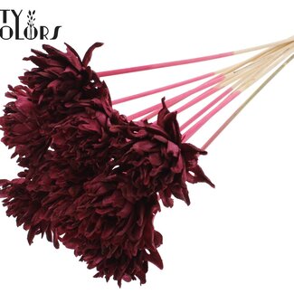 QC Shola Dennenhouten Bloem op stok | Kleur: Bordeauxrood | Shola Slice Pine Bijsteker | Diameter bloem 6 centimeter | Lengte ± 50 centimeter | 10 bijstekers per bos