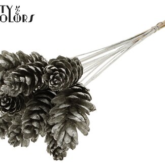 QC Strobus Dennenappel op stok | Kleur: Platinakleurig | Dennenappel Bijsteker | Diameter 10 - 15 centimeter | Lengte ± 50 centimeter | 10 bijstekers per bos