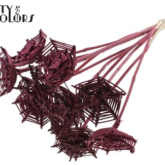 QC Rattan Lata Horizontal Spiderweb on Stick | Colour: Bordeaux Red | Lata Spiderweb Flat Plant Stake | Length ± 50 centimetres | 10 plant stakes per bunch