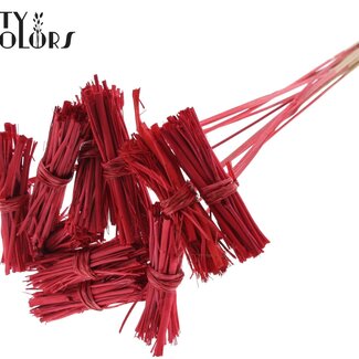 QC Lady Boeketje op stok | Kleur: Rood | Lady Posy Bijsteker | Lengte ± 50 centimeter | 10 bijstekers per bos