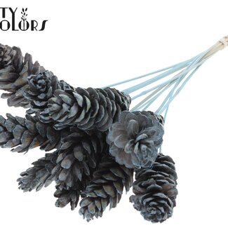 QC Strobus Pinecone on Stick | Colour: Frosted Light Blue | Pinecone Insert Stick | Diameter 10 - 15 centimetres | Length ± 50 centimetres | 10 insert sticks per bunch