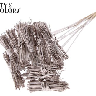 QC Lady Bouquet sur tige | Couleur : Champagne | Lady Posy Piquet | Longueur ± 50 centimètres | 10 piquets par bouquet