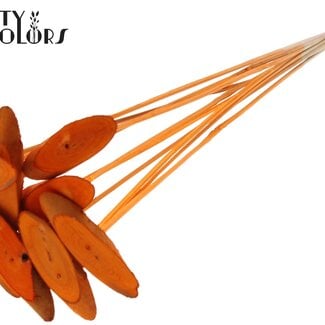 QC Oval Wooden Disc on Stick | Colour: Orange | Wooden Disc Stick | Diameter 5 - 7 centimetres | Length ± 50 centimetres | 10 sticks per bunch