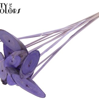 QC Oval Wood Slice on Stick | Colour: Frosted Milk Purple | Wood Slice Insert | Diameter 5 - 7 centimetres | Length ± 50 centimetres | 10 inserts per bunch