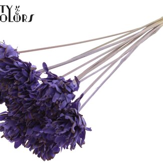 QC Shola Dennenholze Blume auf Stiel | Farbe: Milchlila | Shola Slice Pine Einstecker | Durchmesser Blume 6 Zentimeter | Länge ± 50 Zentimeter | 10 Einstecker pro Bund