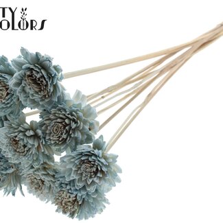 QC Shola Holz Zinnia auf Stiel | Farbe: Hellblau | Shola Zinnia Steckstab | Blütendurchmesser 6 Zentimeter | Stiellänge ± 50 Zentimeter | 10 Steckstäbe pro Bund