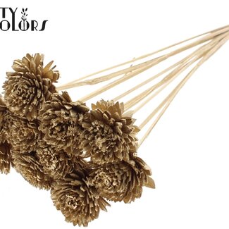 QC Shola Wooden Zinnia on a stick | Colour: Antique Gold | Shola Zinnia Flower Stick | Flower diameter 6 centimetres | Stick length ± 50 centimetres | 10 sticks per bunch