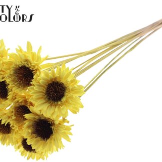 QC Shola Wooden Daisy Sunflower on stick | Colour: Yellow | Shola Daisy Sunflower Stake | Flower diameter 6 centimetres | Stake length ± 50 centimetres | 10 stakes per bunch