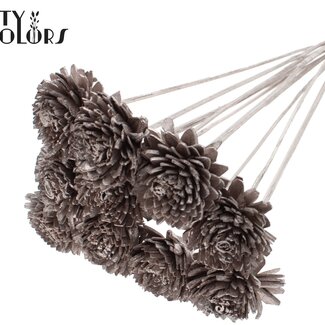 QC Shola Houten Zinnia sur tige | Couleur : Champagne | Shola Zinia Piquet décoratif | Diamètre de la fleur 6 centimètres | Longueur du piquet décoratif ± 50 centimètres | 10 piquets décoratifs par bouquet