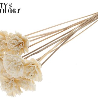 QC Shola Houten Karnish Fleur sur tige | Couleur : Blanc Naturel | Fleur Karnish Shola Piquet | Diamètre de la fleur 6 centimètres | Longueur du piquet ± 50 centimètres | 10 piquets par bouquet