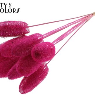 QC Mini Luffa Schwamm auf Stiel | Farbe: Fliederfarben | Luffa Einstecker | Länge ± 50 Zentimeter | 10 Einstecker pro Bund