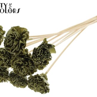 QC Shola Houten with Karnish Flower on stick | Colour: Olive Green | Shola Karnish Flower Stick | Flower diameter 6 centimetres | Stick length ± 50 centimetres | 10 sticks per bunch