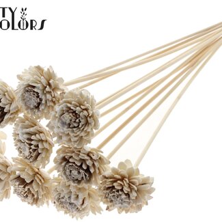 QC Shola Houten avec Zinnia sur tige | Couleur : Blanc | Shola Zinia Pique-fleur | Diamètre de la fleur 6 centimètres | Longueur du pique-fleur ± 50 centimètres | 10 piques-fleurs par bouquet