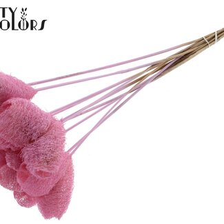 QC Luffa Herz Schwamm auf Stiel | Farbe: Hellrosa | Luffa Einstecker | Länge ± 50 Zentimeter | 10 Einstecker pro Bund