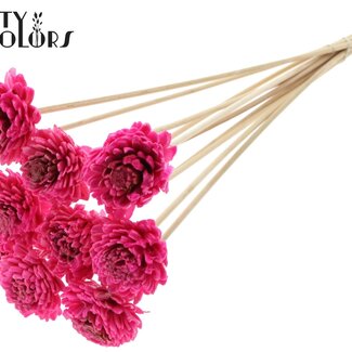 QC Shola Holz mit Zinnia auf Stiel | Farbe: Kirschrot | Shola Zinnia Stecker | Blütendurchmesser 6 Zentimeter | Stecker Länge ± 50 Zentimeter | 10 Stecker pro Bund