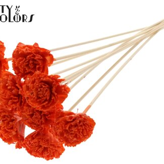 QC Shola Houten with was Karnish Flower on stick | Colour: Orange | Shola Karnish Flower Stick | Flower diameter 6 centimetres | Stick length ± 50 centimetres | 10 sticks per bunch