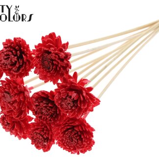 QC Shola Houten avec Zinnia sur tige | Couleur : Rouge | Shola Zinia Piquet décoratif | Diamètre de la fleur 6 centimètres | Longueur du piquet décoratif ± 50 centimètres | 10 piquets par bouquet