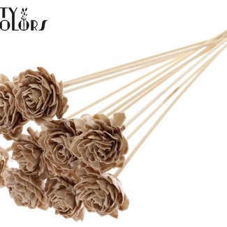 QC Shola Houten mit Dahlie am Stiel | Farbe: Beige | Shola Dahlia Steckblume | Durchmesser Blume 6 Zentimeter | Länge ± 50 Zentimeter | 10 Steckblumen pro Bund