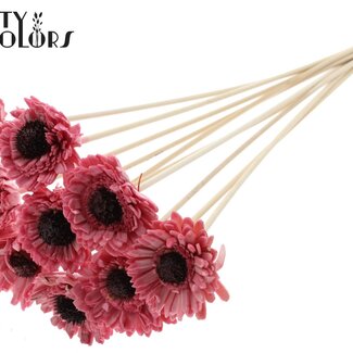 QC Shola Houten avec Madelief Zonnebloem sur tige | Couleur : Rose clair | Shola Daisy Sunflower Piquet | Diamètre de la fleur 6 centimètres | Longueur du piquet ± 50 centimètres | 10 piquets par bouquet