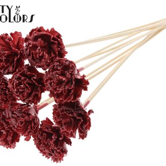QC Shola Houten met was Karnish Bloem op stok | Couleur : Bordeaux | Shola Karnish Flower Piquet | Diamètre de la fleur 6 centimètres | Longueur du piquet ± 50 centimètres | 10 piquets par bouquet