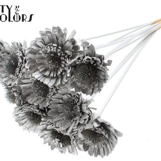 QC Shola Wooden Daisy Sunflower on stick | Colour: Platinum | Shola Daisy Sunflower Stick | Flower diameter 6 centimetres | Stick length ± 50 centimetres | 10 sticks per bunch