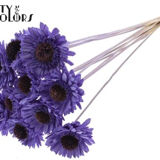 QC Shola Houten Madelief Zonnebloem op stok | Kleur: Milkapaars | Shola Daisy Sunflower Bijsteker | Diameter bloem 6 centimeter | Lengte bijsteker ± 50 centimeter | 10 bijstekers per bos