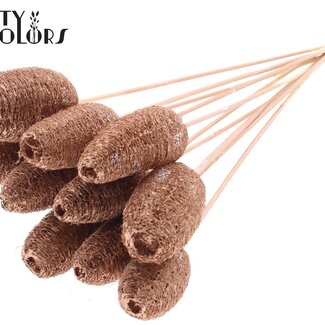 QC Mini Luffa Éponge sur bâton | Couleur : Cuivré | Luffa Piquet | Longueur ± 50 centimètres | 10 piquets par bouquet