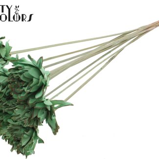 QC Shola Dennenhouten Bloem op stok | Kleur: Mintgroen | Shola Slice Pine Bijsteker | Diameter bloem 6 centimeter | Lengte ± 50 centimeter | 10 bijstekers per bos