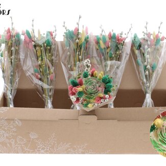 QC Bouquet de Fleurs Séchées “Lemon Mist” | Couleur : Vert menthe | Longueur ± 45 centimètres | Par 6 bouquets