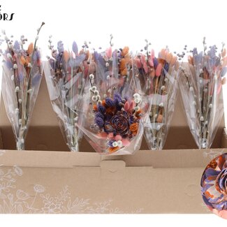 QC Trockenblumenstrauß „Fruity Sunset“ | Farbe: Milchlila | Länge ± 45 Zentimeter | Pro 6 Sträuße