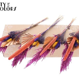 QC Feuille de palmier séchée en forme de lance Bouquet “Sunset” | Couleur : Couleurs mélangées | Longueur ± 55 centimètres | Par 9 bouquets