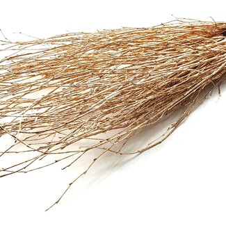 QC Dried Birch Branches | Colour: Antique Gold with Glitter | Length ± 70 centimetres | 10 branches per bunch