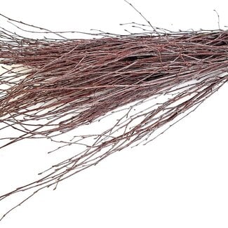 4A Hoezen voor Enkele Roos “Heart” | Kleur: Kerskleurig | Hoogte 60 centimeter | Lengte 14 centimeter | Breedte 13 centimeter | Per 50 hoezen