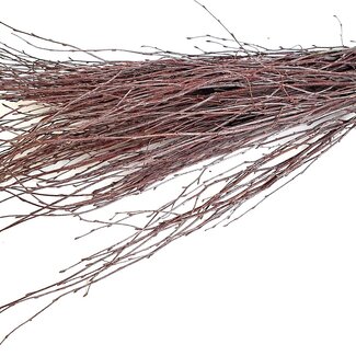 4A Housses pour Rose Unique “Heart” | Couleur : Cerise | Hauteur 60 centimètres | Longueur 14 centimètres | Largeur 13 centimètres | Par 50 housses