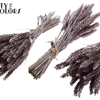 QC Bouquet de Mini Blé Séché | Couleur : Rose Métallique | Triticum Fleurs Séchées | Longueur ± 25 centimètres | Par 10 bottes