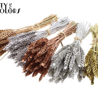 QC Boeket Gedroogde Mini Tarwe | Kleur: Metallic Gemengde Kleuren | Triticum Droogbloemen | Lengte ± 25 centimeter | Per 10 bossen