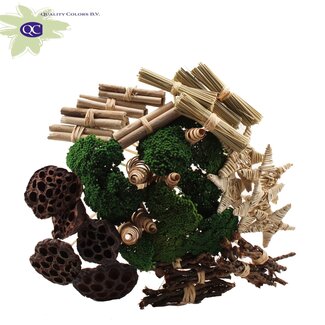 QC Bouquet Mix sur tige avec Achillée Verte | Couleur : Marron | Longueur de la tige ± 50 centimètres | 40 tiges par bouquet | Par bouquet