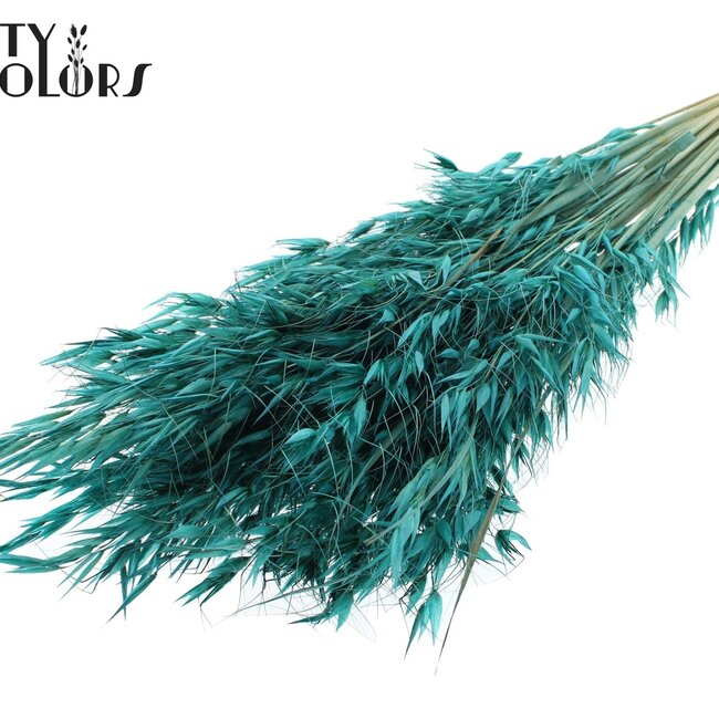 Gedroogde Wilde Haver | Kleur: Turquoise | Wilde Avena Droogbloemen | Lengte ± 70 centimeter | Gewicht 100 gram | Per bos