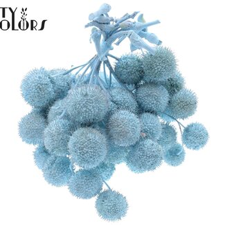 QC Petite Balle sur bâton | Couleur : Bleu clair | Petite Balle Piquet | 10 piquets par bouquet | Par 5 bouquets