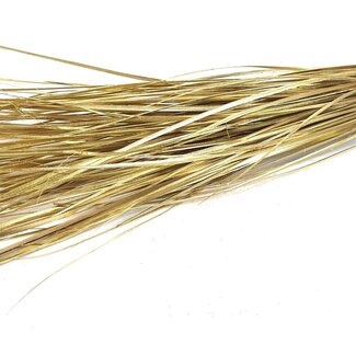 QC Rechte Nerf van Palmblad | Kleur: Goudkleurig | Straight Ting Ting Droogdecoratie | Lengte ± 70 centimeter | 5 vertakkingen per tak | Per bos