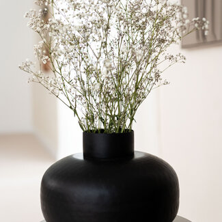 Dutch Dried Natürliche weiße Gypsophila Trockenblumen | Getrocknetes Schleierkraut | Länge ± 65 Zentimeter | Pro 5 Zweige