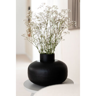 Dutch Dried Gypsophile blanche naturelle séchée | Gypsophile séchée | Longueur ± 65 centimètres | Par 5 tiges